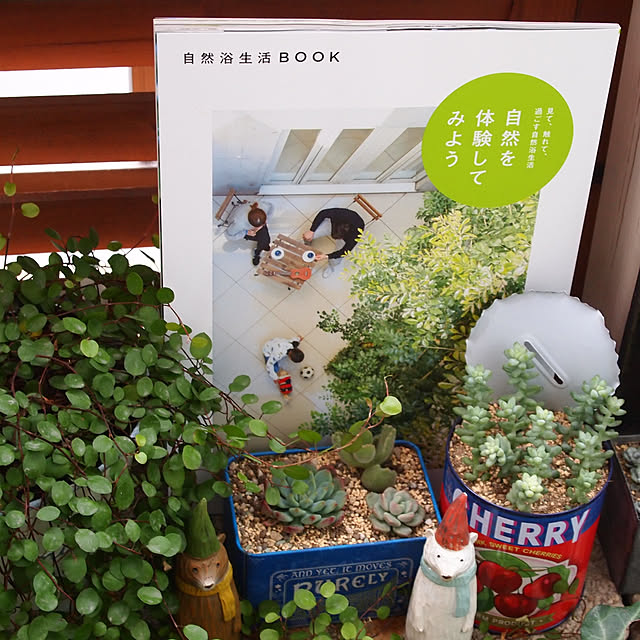 karinさんの実例写真