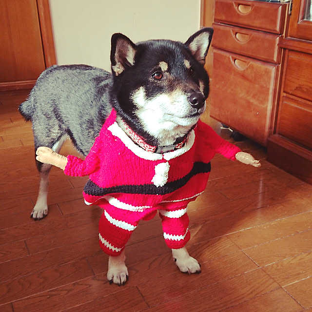 tsutawarimasuさんの実例写真