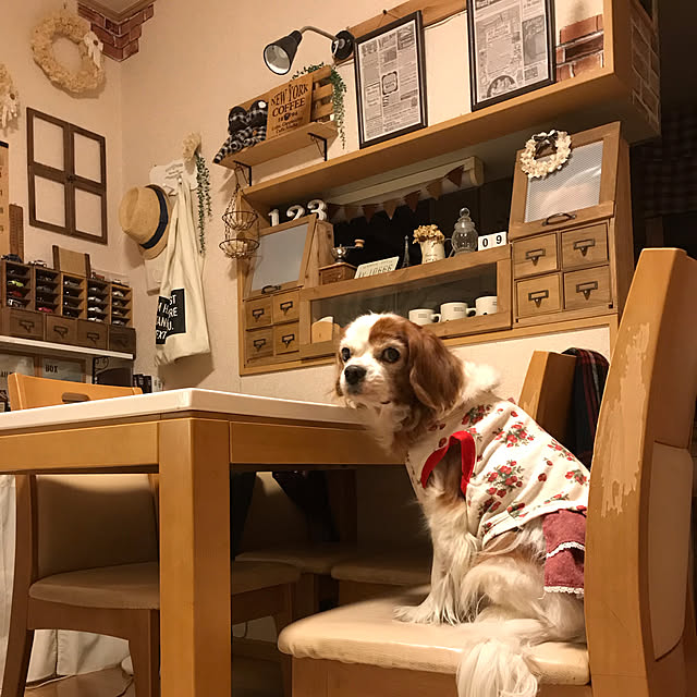 canmilmamaさんの実例写真