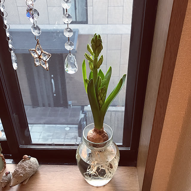 yukaさんの実例写真