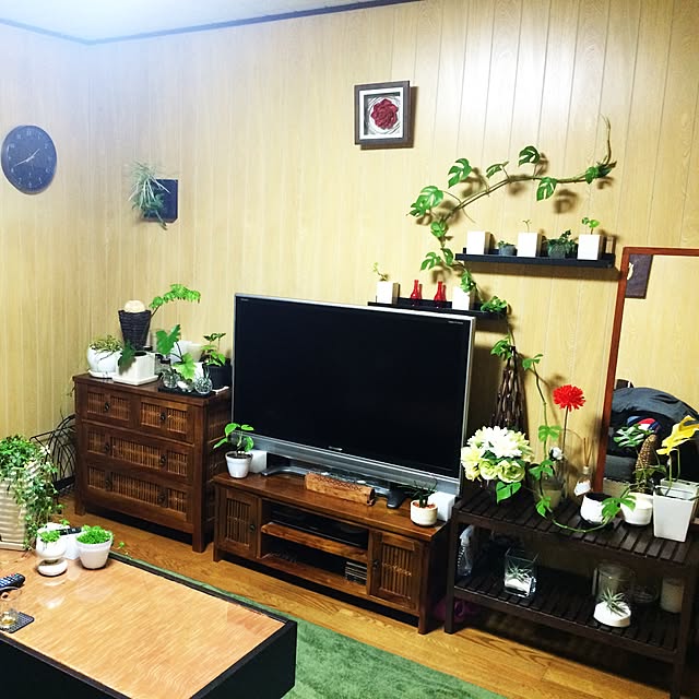 Takaさんの実例写真
