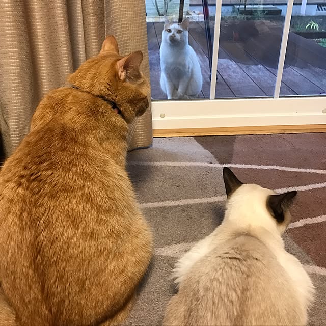ki-so-ik-maさんの実例写真