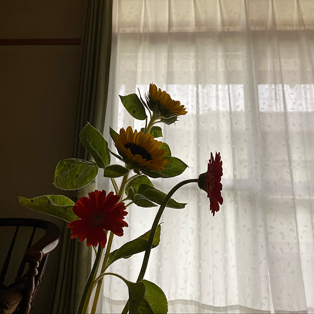 Alzさんの実例写真