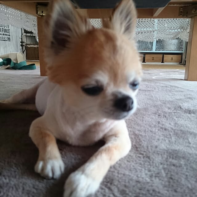 hiro1244さんの実例写真