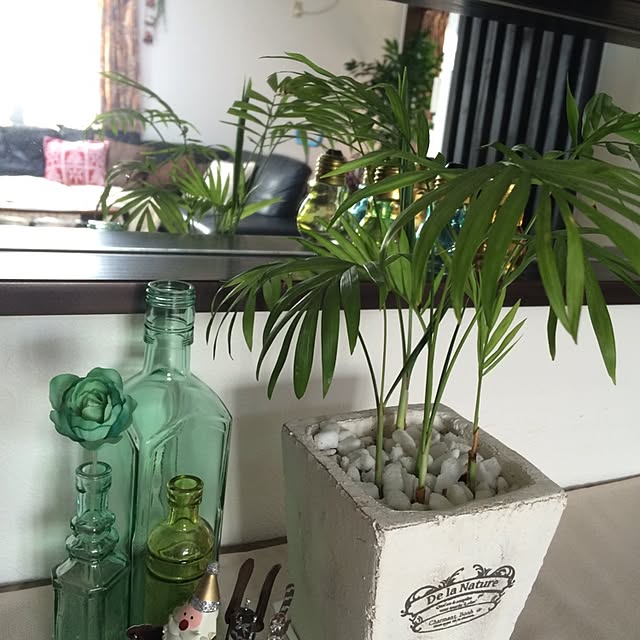 amiさんの実例写真