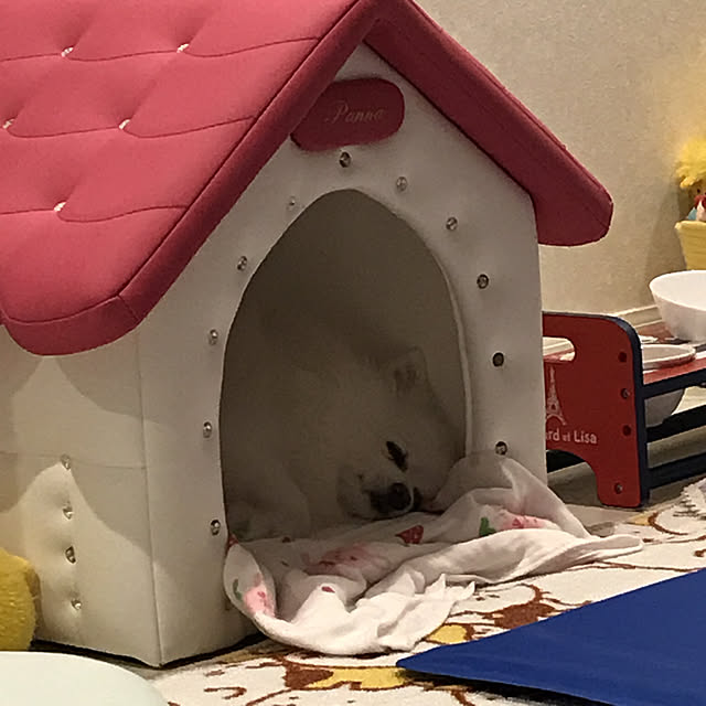 pannaさんの実例写真