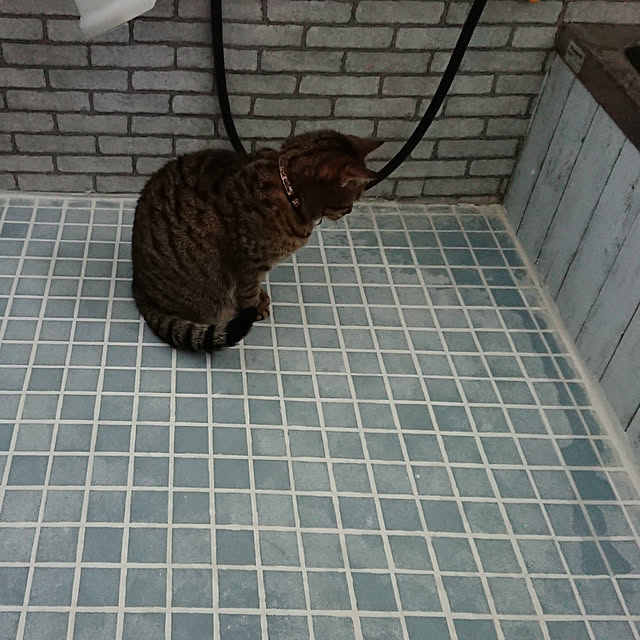 berariさんの実例写真