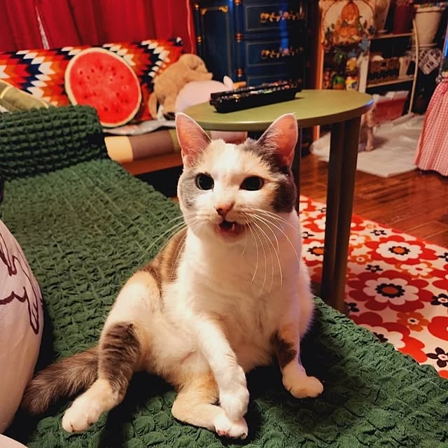 kumutanさんの実例写真
