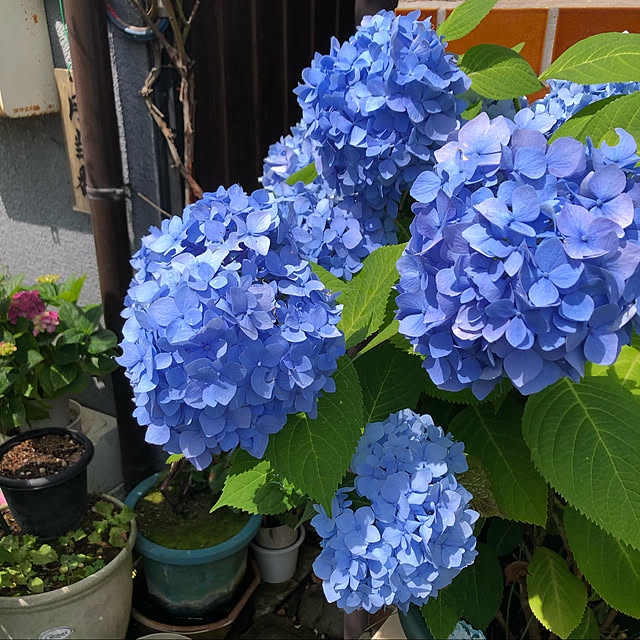 hiroさんの実例写真