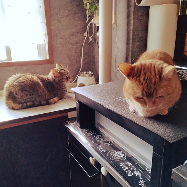 runaさんの部屋
