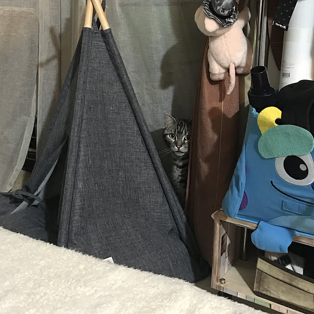 KotarouKunさんの実例写真