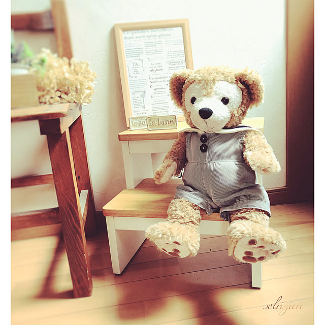solさんの実例写真
