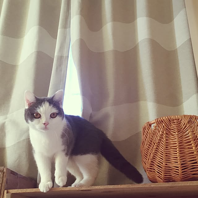 yunさんの実例写真