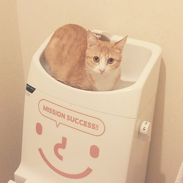 ninahonoさんの実例写真