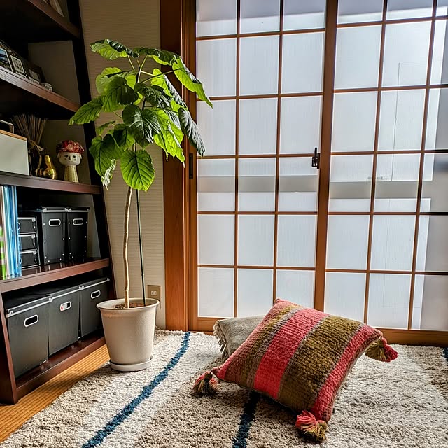 Renさんの実例写真
