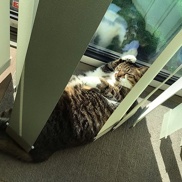 houenさんの部屋