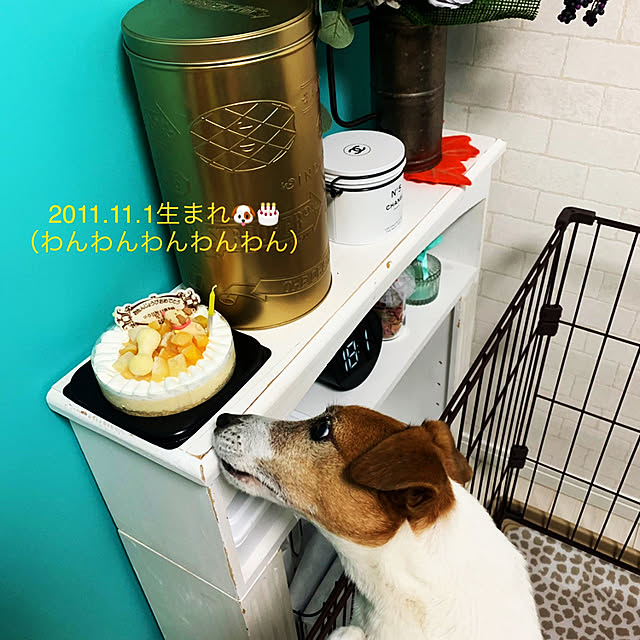 kittyさんの実例写真