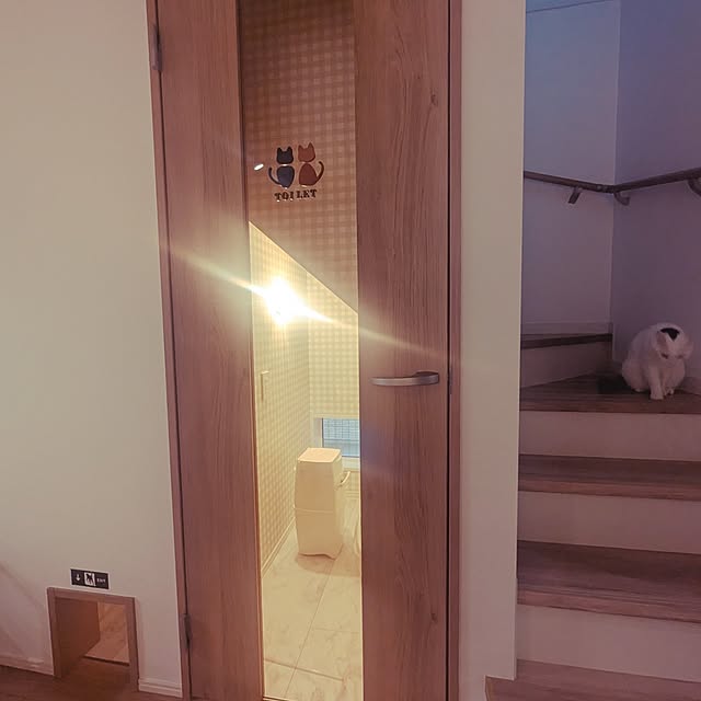nekocatさんの実例写真