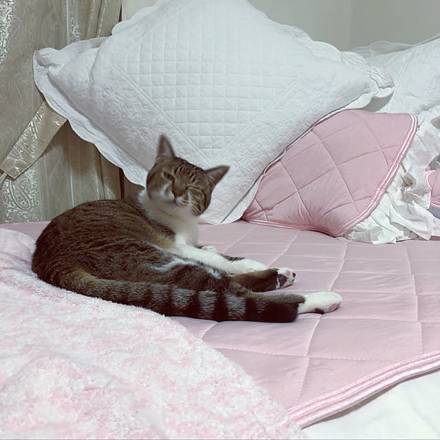nnmmさんの実例写真