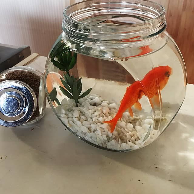 ougimi_nさんの実例写真