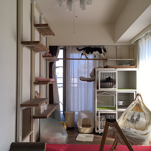 mikomaruさんの実例写真