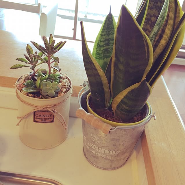 s.mamさんの実例写真