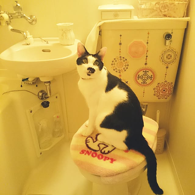 fu-ka24さんの実例写真