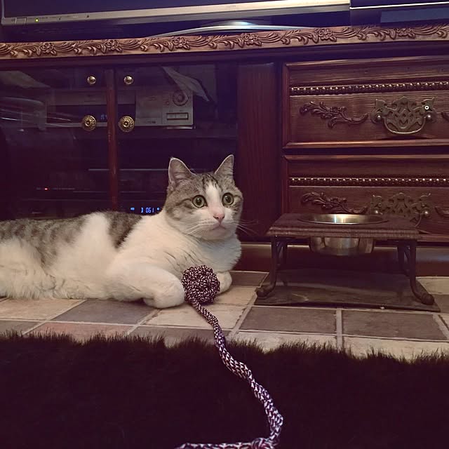 emmyyさんの実例写真