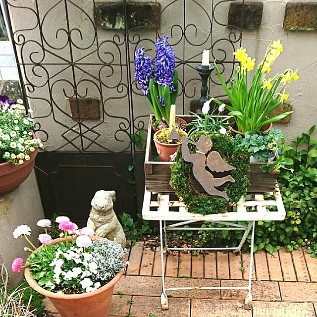 壁/天井/花のある暮らし/花のある空間/花が好き/庭のある暮らし...などのインテリア実例 - 2020-03-18 11:52:15