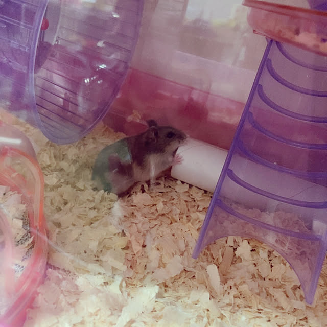 milkさんの実例写真