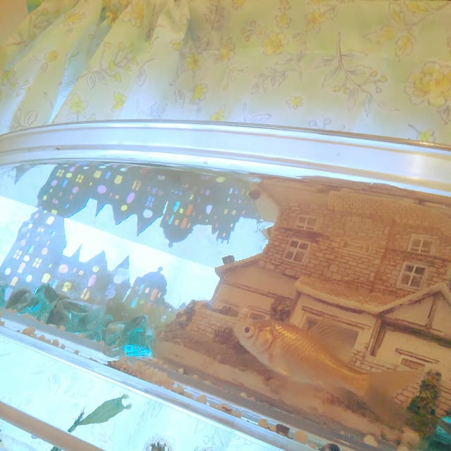 768さんの実例写真