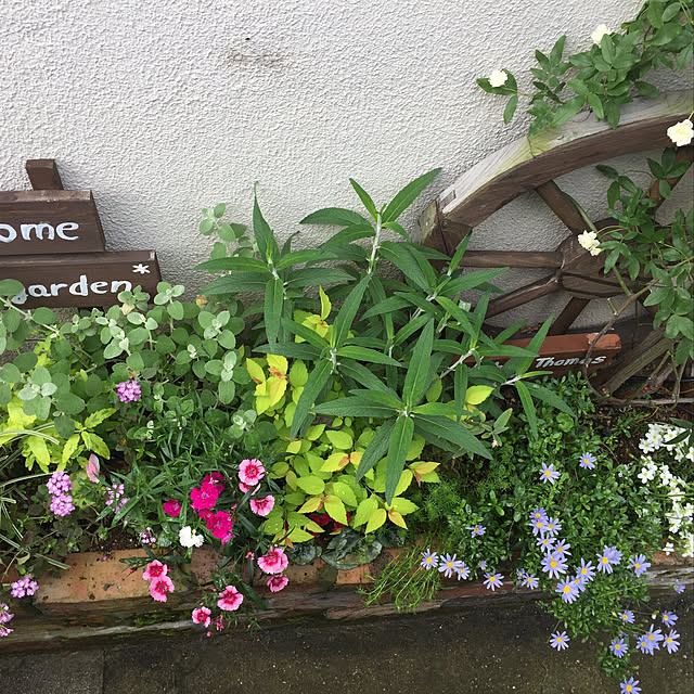 maronさんの実例写真