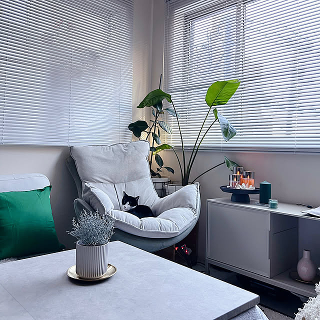 mako2yaさんの実例写真