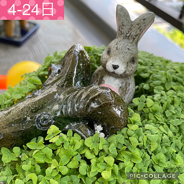 aureaさんの実例写真