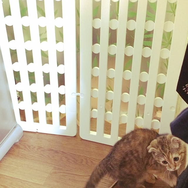 okanさんの実例写真