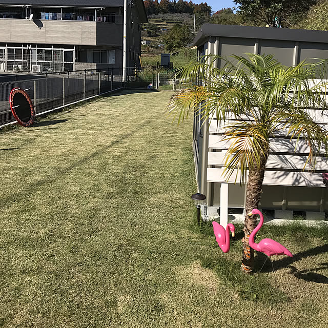 palmbeach510さんの実例写真