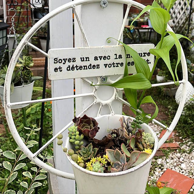 **yuu**さんの実例写真