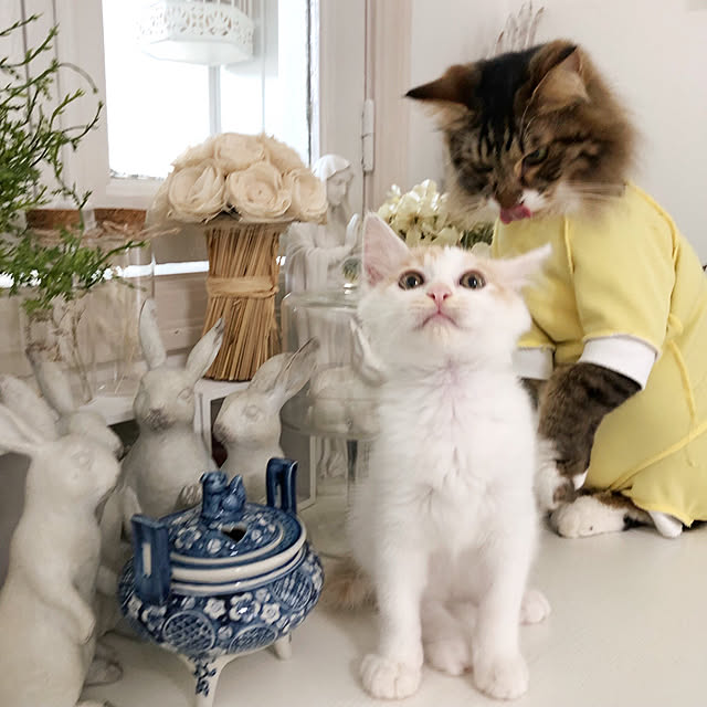yuchiさんの実例写真