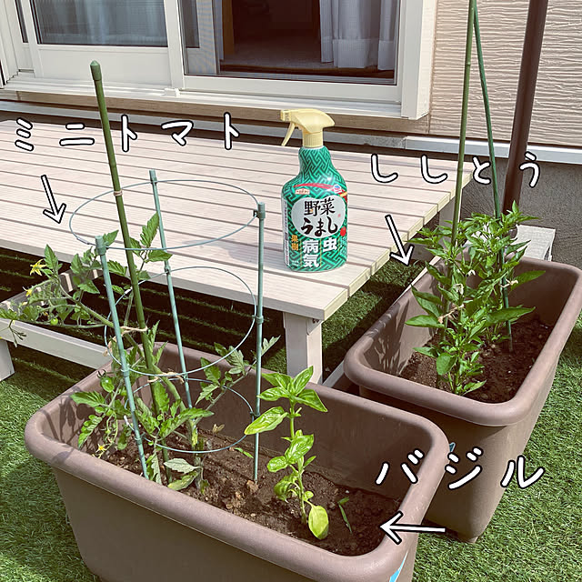 orinさんの実例写真
