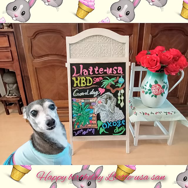 moruさんの実例写真