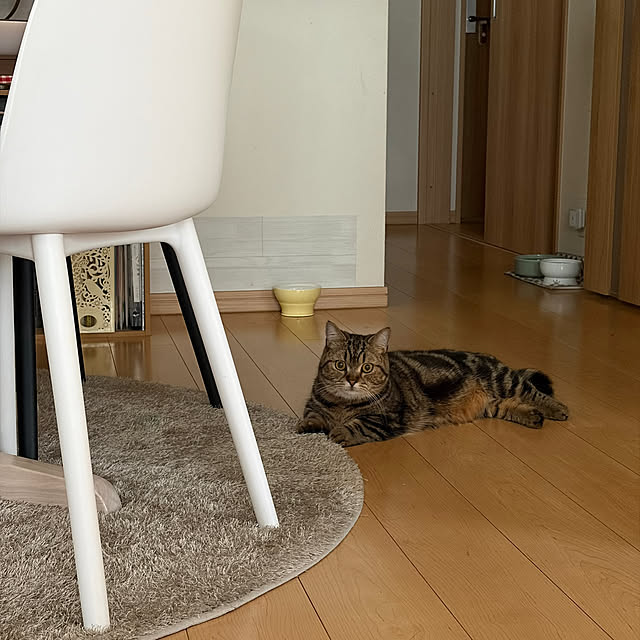 chiiさんの部屋