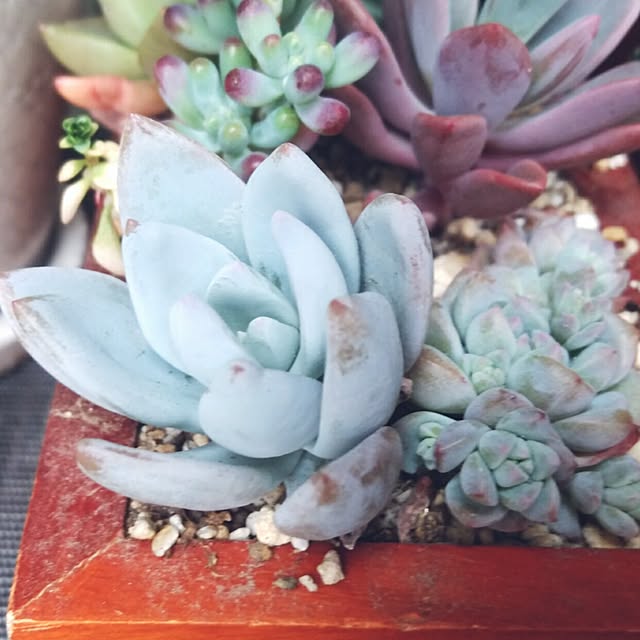 j.tさんの実例写真