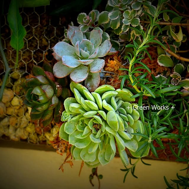 GreenWorksさんの実例写真