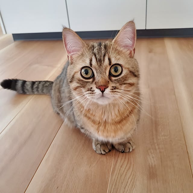 annyaさんの部屋