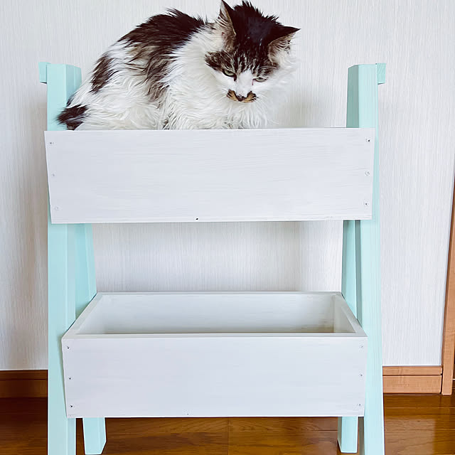 miao-kinさんの部屋