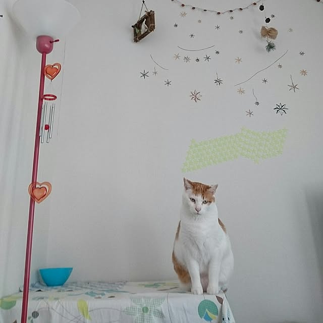 porinさんの実例写真