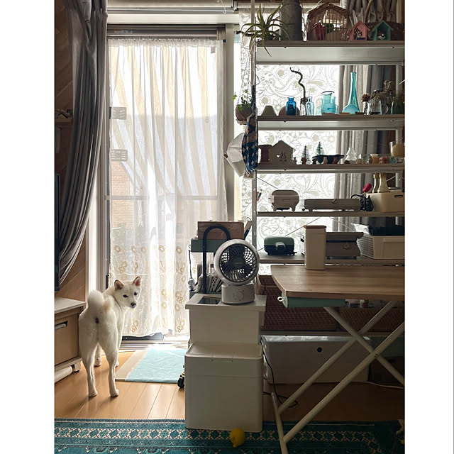 mo-nosukeさんの実例写真