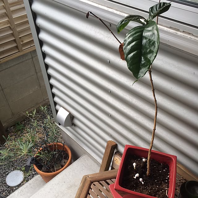 kemukujyaraさんの実例写真