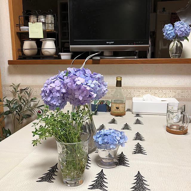 fuwa-mocoさんの部屋