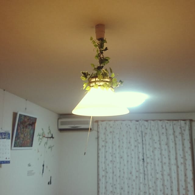 loooveさんの実例写真